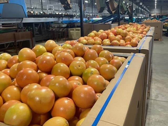 Bouman Fruit